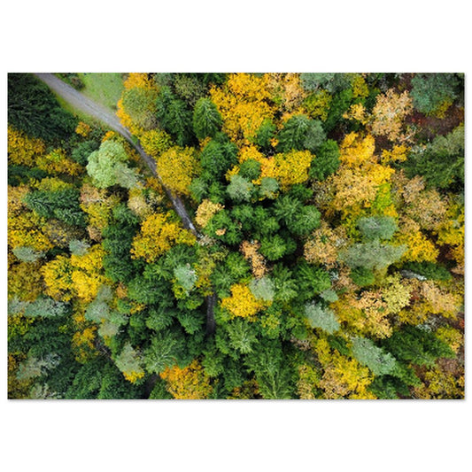 b4056341-b475-4f4c-bfc9-98472c1864a0